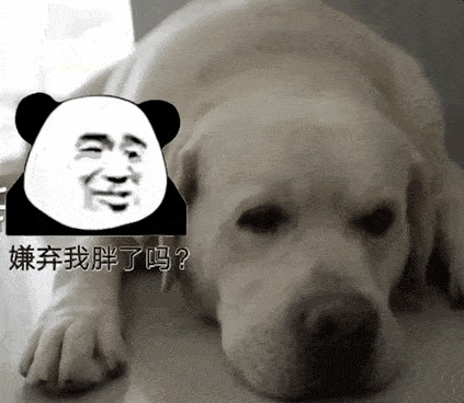 巨胖警犬被网民嘲笑集体要求狗子减肥训导员护崽心切忙安慰