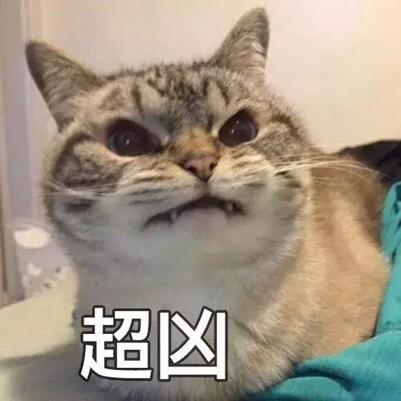 你们觉得猫咪会记仇吗