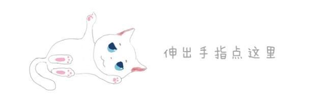 今年最流行的遛猫方式，你家主子是怎么遛弯的？