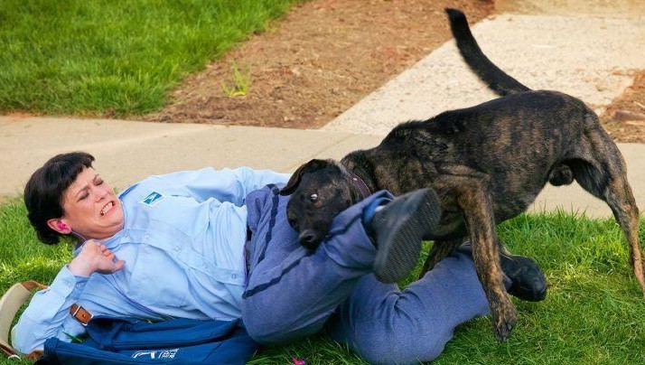 被恶犬攻击时，千万别慌，这几招可以“救你一命”